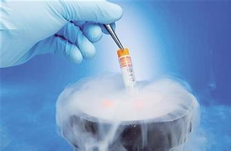 泰国试管婴儿手术冻卵的流程