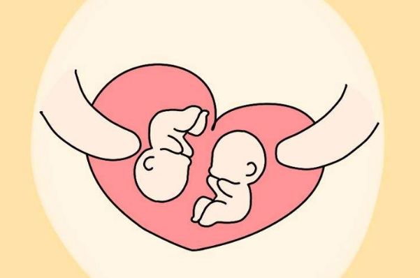 试管婴儿生双胞胎的几率有多少?