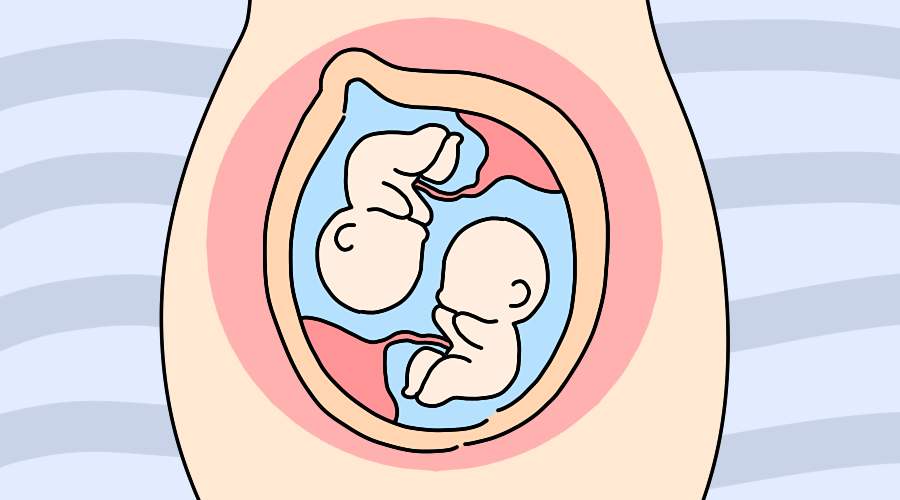 泰国试管婴儿移植双胎的风险大吗?